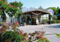 Logo di GARDEN CENTER IL GELSO