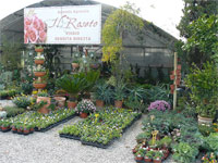 Logo di VIVAIO IL ROSETO