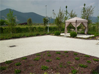 Logo di ARBORETUM VIVAI