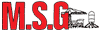 M.S.G. MONTAGGIO ASSISTENZA GRU srl