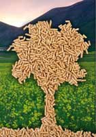 Logo di BIO PELLETS POINT