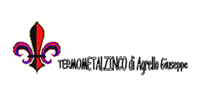 Logo di TERMOMETALZINCO
