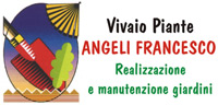Logo di ANGELI FRANCESCO