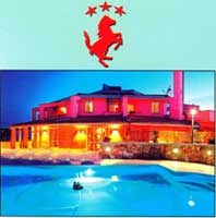 Logo di HOTEL RISTORANTE PIZZERIA IL CAVALLINO ROSSO