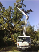 Logo di ARTE GIARDINI