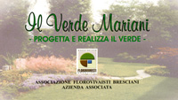 Logo di IL VERDE MARIANI