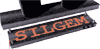 SILGEM sas