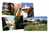 Logo di GALLURA GIARDINI
