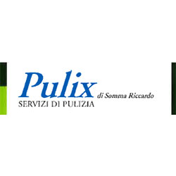 Logo di PULIX