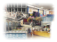 Logo di TORINO NUOTO