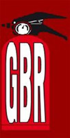 Logo di GIBIERRE ANTINCENDIO