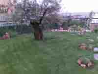 Logo di LIGURE GIARDINI