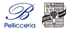 PELLICCERIA BERLINCIONI srl