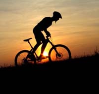 Logo di BIKE FARM