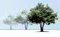 Logo di ECOFIVE srl