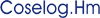 COSELOG.HM SOC. CONSORTILE PER AZIONI