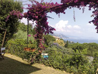 Logo di TEA GIARDINI