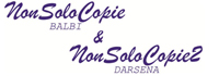 Logo di NONSOLOCOPIE 2