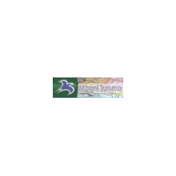 Logo di AGENZIA VIAGGI MAGNI TURISMO