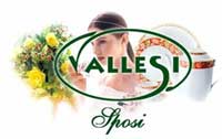 Logo di VALLESI LISTE NOZZE