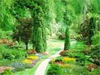 foto di MILANO GARDEN