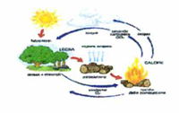 Logo di PROGETTARE IL FUOCO