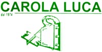 Logo di CAROLA LUCA