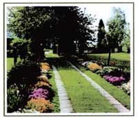 Logo di IBF GIARDINI