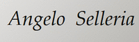Logo di SELLERIA ANGELO