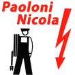 Logo di PAOLONI NICOLA