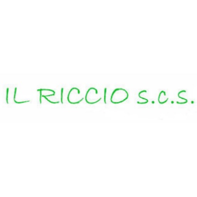 Logo di IL RICCIO
