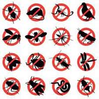 Logo di DISINFEST P.R.I.V.E.S. - DISINFESTAZIONE PARMA