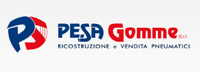Logo di PE.SA GOMME SERVICE