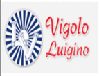 Logo di VIGOLO LUIGINO E C.