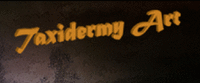 Logo di TAXIDERMY ART