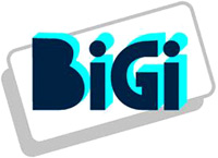 Logo di BIGI srl