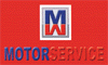 MOTOR SERVICE srl