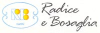 Logo di RADICE & BOSAGLIA sas