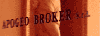 APOGEO BROKER srl