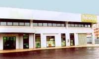 Logo di MIELEPIU'