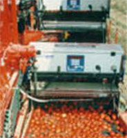Logo di TOMRA SORTING srl