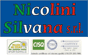 NICOLINI SILVANA srl