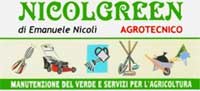 Logo di NICOLGREEN