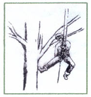 Logo di GREEN srl