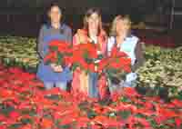 Logo di FLORICOLTURA PIVATO & BERTAZZON S.S. AGRI.