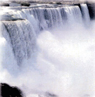 foto de AMBROGIO RENATO