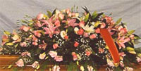 Logo di CALOGERO GIULIA