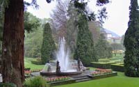 Logo di FAUSTO SCASSO - GIARDINAGGIO
