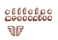 Logo di FIORI FERDINANDO & FIGLI snc