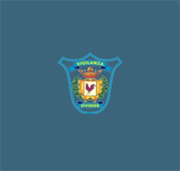 Logo di VIGILANZA OVIDDE'